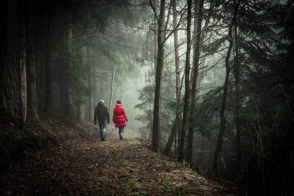 Zwei Menschen laufen durch einen dunklen Wald