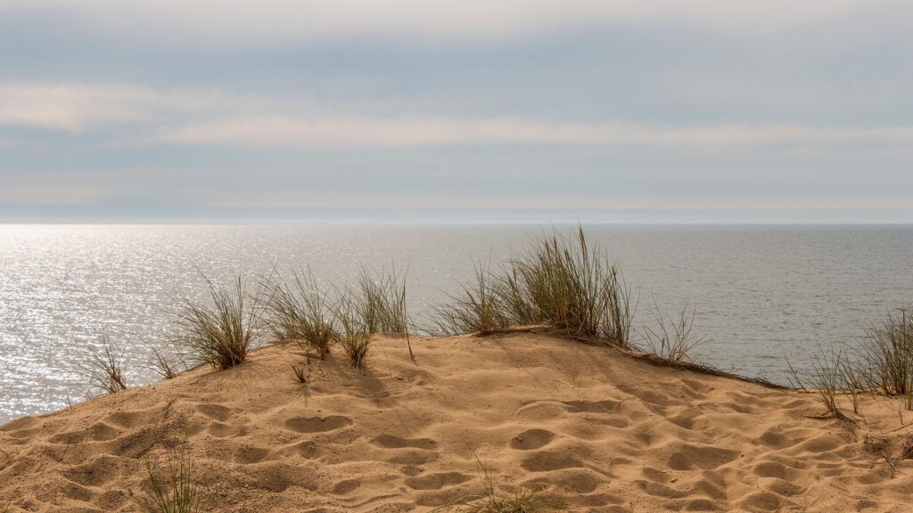 Man sieht Sanddünen mit Gräsern vor dem Ozean.