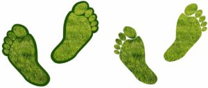 ökologischer Fußabdruck