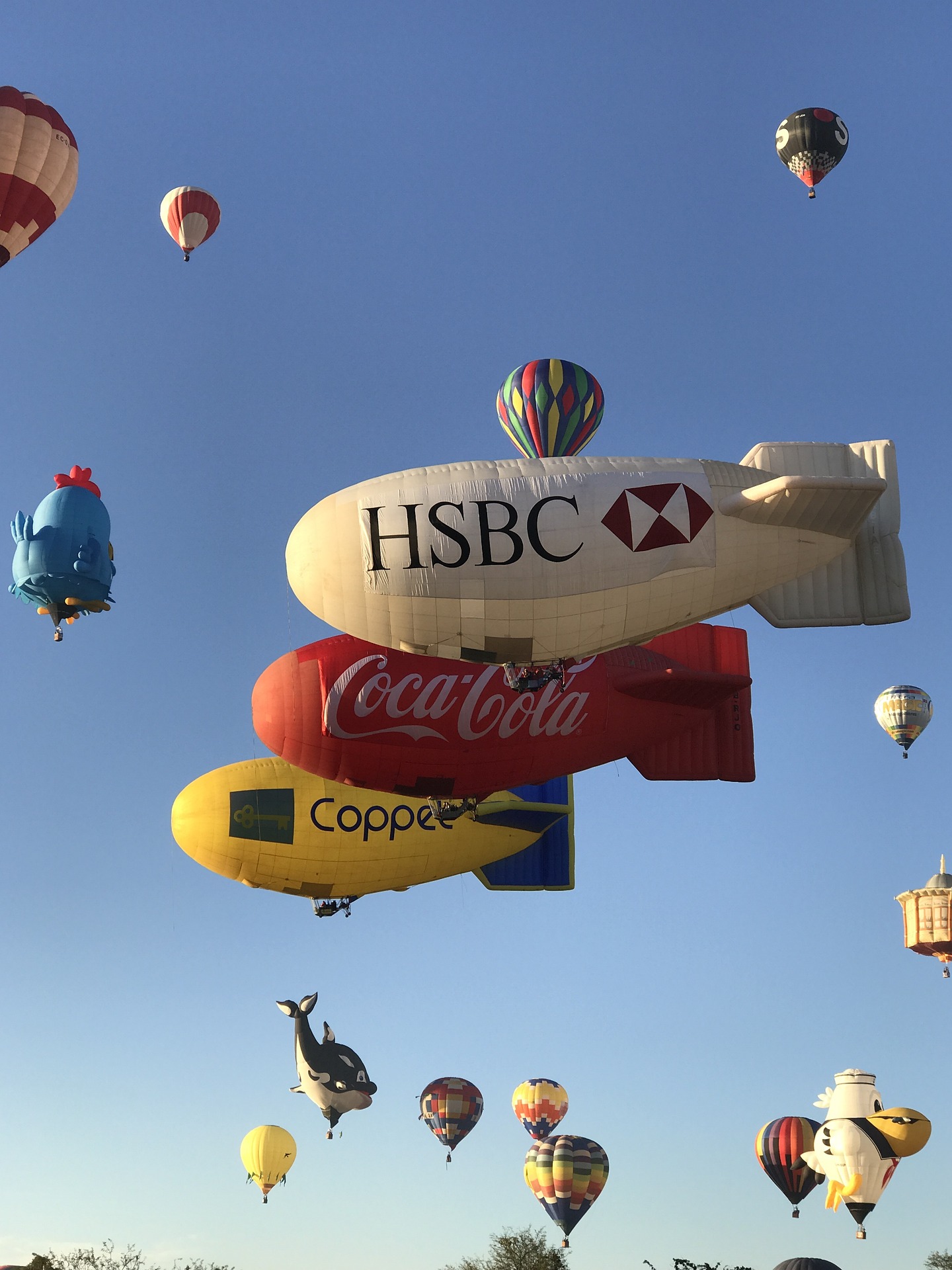 Zeppeline Die schwebenden Giganten und ihre faszinierende Geschichte